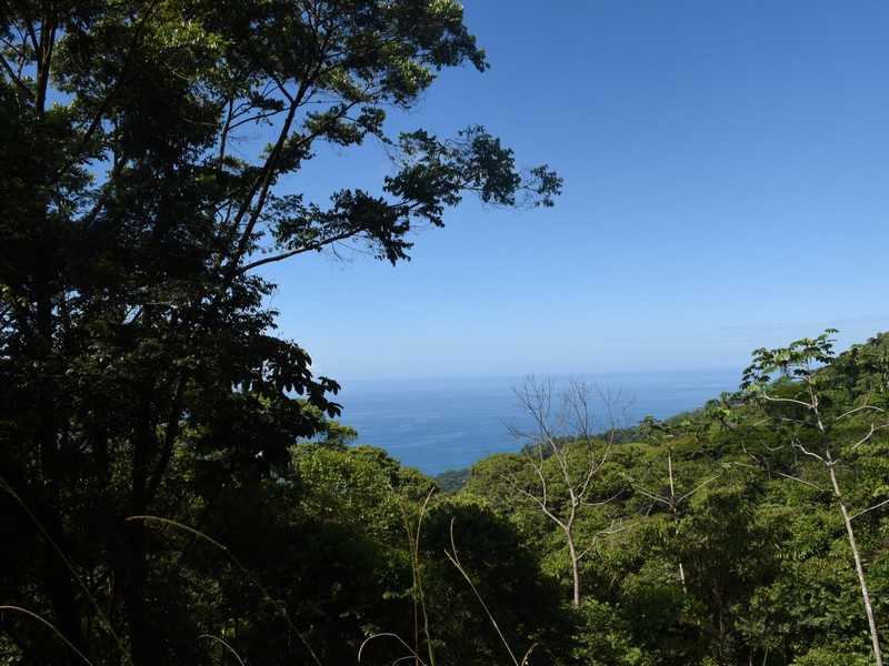 Land For Sale in Dominical Costa Rica